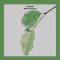 Water Droplets - Single
