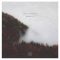 Path to Freedom - Single