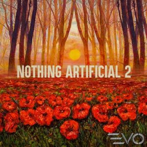 کاور آلبوم آلبوم Nothing Artificial 2 موسیقی مثبت پرانرژی امیدوار کننده اثری از Chase Bennett از Chase Bennett