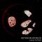 Between Worlds - Single