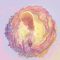 Bloom - Single