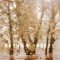 Autumn Breeze - Single