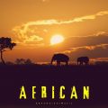 African - Single