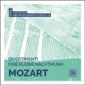 Divertimento In D Major K .136 Ii. Andante