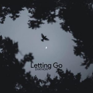 کاور آهنگ Letting Go - Single