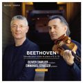 Beethoven 🐝 - cover 2