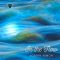 In the Flow - Single