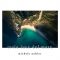 Isola Luce del Mare - Single