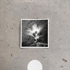 تصویر هنرمند Nils Frahm