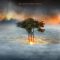 We Are Dreamers - Single