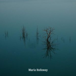 کاور آهنگ Farewell از Maria Holloway