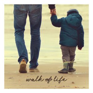 کاور آهنگ Walk of Life از bzur