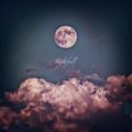 Nightfall