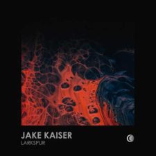 تصویر هنرمند Jake Kaiser