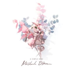 کاور آهنگ A simple song از Michael Ottosson