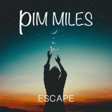 تصویر هنرمند Pim Miles