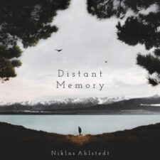 تصویر هنرمند Niklas Ahlstedt