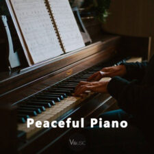 تصویر هنرمند Vmusic