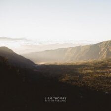 تصویر هنرمند Liam Thomas