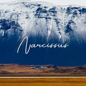 کاور آلبوم آلبوم موسیقی بی کلام Narcissus اثری از Vincent Carry از Vincent Carry