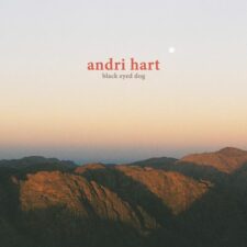تصویر هنرمند Andri Hart