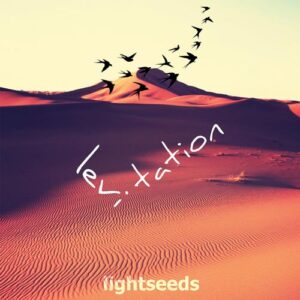 کاور آهنگ Levitation از Lightseeds