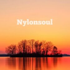 تصویر هنرمند Soulgarden
