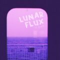 Lunar Flux