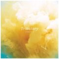 Tributary
