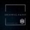 Dreaming Awake