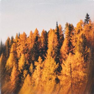 کاور آلبوم آهنگ هایی برای پاییز (Tunes for Fall) از Various Artists