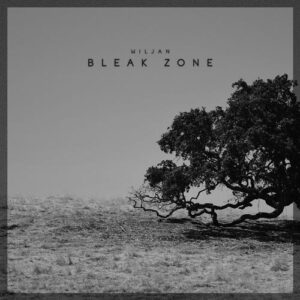 کاور آهنگ Bleak Zone از Wiljan