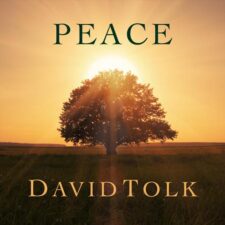 تصویر هنرمند David Tolk