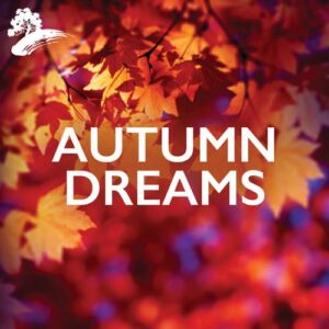 کاور آلبوم آلبوم موسیقی بیکلام Autumn Dreams از Various Artists