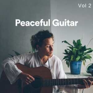 پلی لیست گیتار آرام و صلح آمیز بخش دوم (Peaceful Guitar Vol 2)