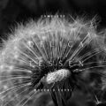 5 Lieder, Op. 49 No. 4, Wiegenlied