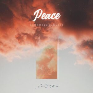 کاور آهنگ Peace از AShamaluevMusic