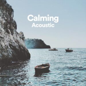 گیتار آکوستیک آرام بخش (Calming Acoustic)