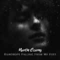Raindrops Falling From My Eyes