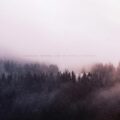 End Of Myself