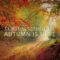 Autumn Is Here