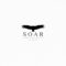 Soar