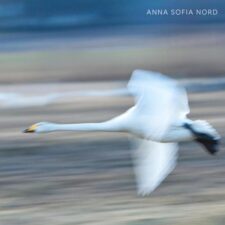 تصویر هنرمند Anna Sofia Nord