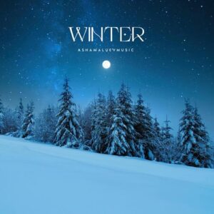 کاور آهنگ Winter از AShamaluevMusic