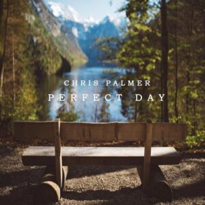کاور آهنگ Perfect Day از Chris Palmer