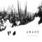 Amare