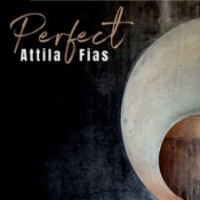 تصویر هنرمند Attila Fias