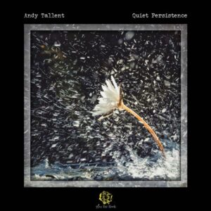 کاور آهنگ Quiet Persistence از Andy Tallent