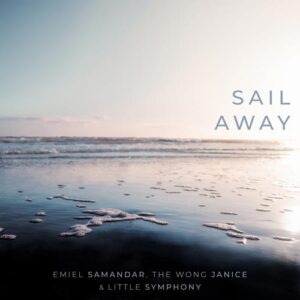 کاور آهنگ Sail Away از Emiel Samandar