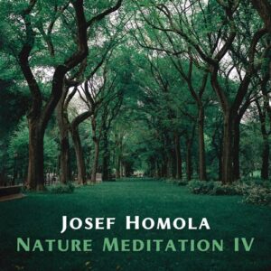 کاور آلبوم مدیتیشن طبیعت بخش چهارم اثری از جوزف همولا از Josef Homola